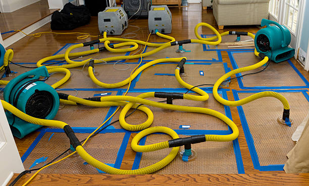 Professional Crawl Space Water Removal technician working in Benzonia, MI